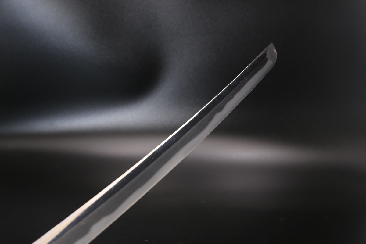 Wakizashi Sword