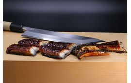 Eel knife 210mm