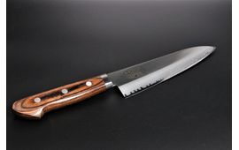 Gyuto VG1 Double Steel