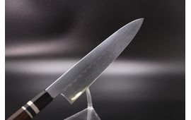 Ikeda yoshikazu　Wa-Gyuto