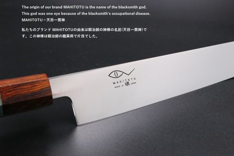 Sujihiki VG1 Mono Steel 270mm