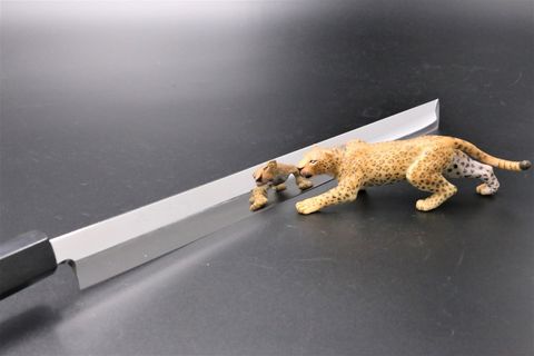 Sakimaru Takohiki Shirogami-1 (WS#1) Mizu Honyaki