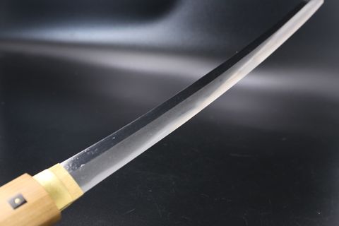 Minamoto Nobukuni
