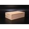 Tagoyaki  container